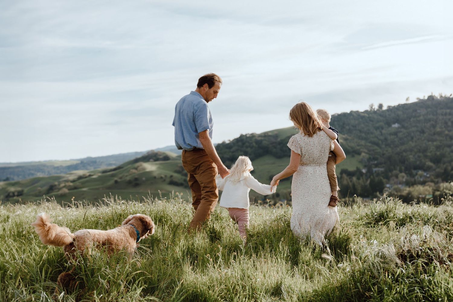 Family strolling through meadow at sunset with dogs playing nearby.