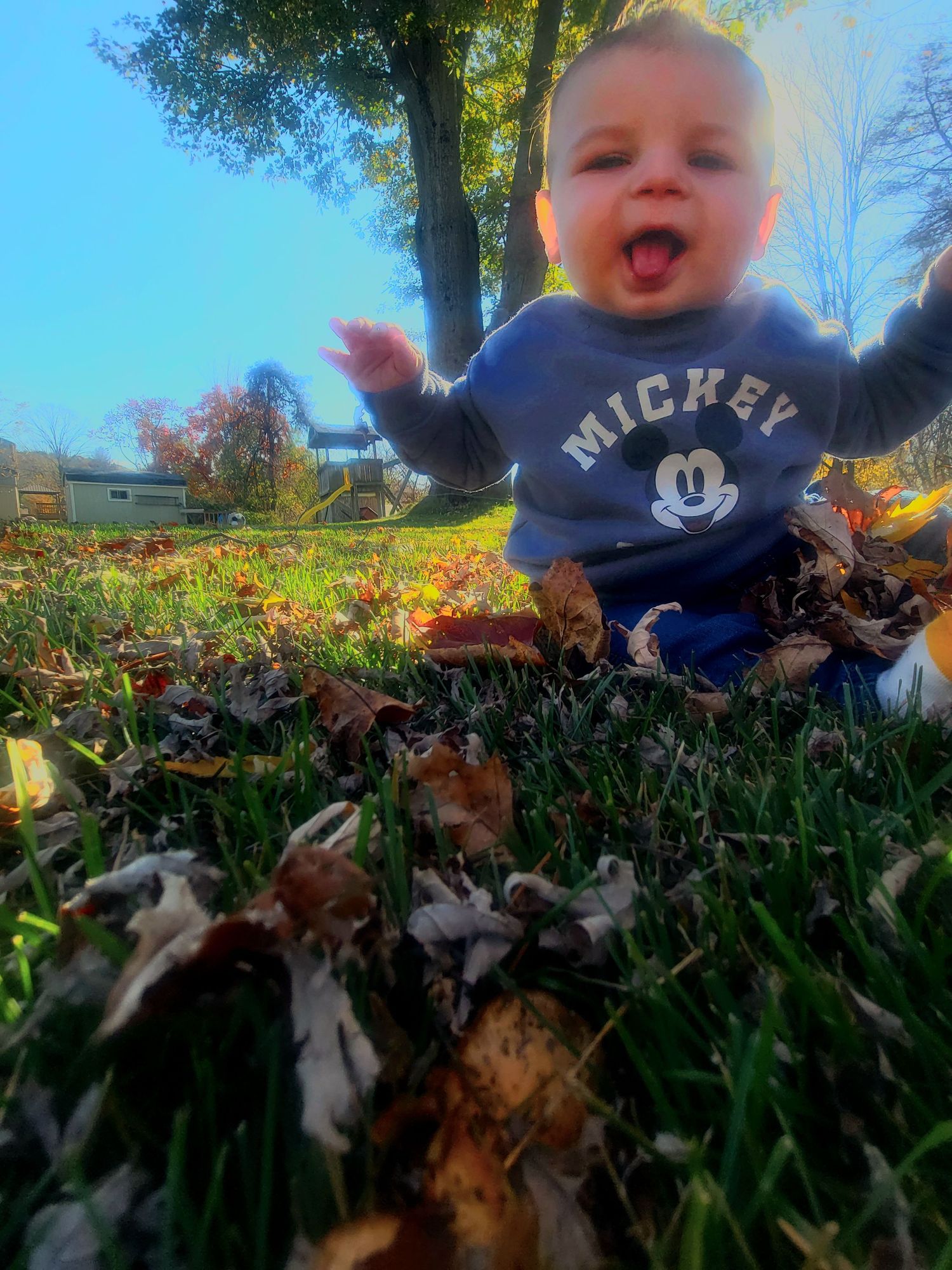 Baby in blue Mickey Mouse sweater explores fallen leaves on sunny autumn day.