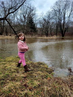 Small child in pink coat exploring flooded riverbank area.