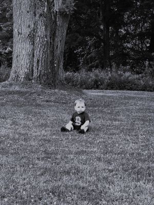 Black and white sequence of baby crawling on grass near large tree trunk.