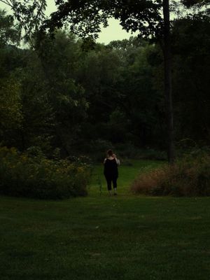 A dark wooded path leads through trees at dusk.