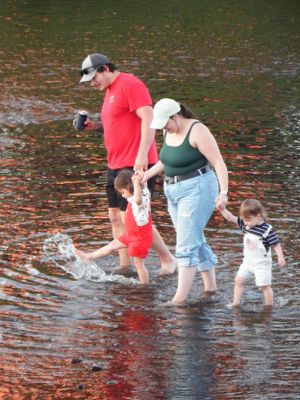Group of people wading in shallow water with autumn leaves floating on the surface.