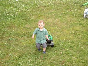 Green lawn with scattered white flowers and walking path.