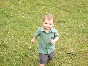 A young child plays on grassy lawn while wearing a green shirt and gray shorts.