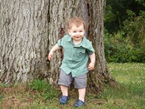 A child explores around a large tree trunk in a grassy outdoor setting.