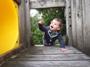 Multiple views of a wooden playground structure with yellow tunnel features.