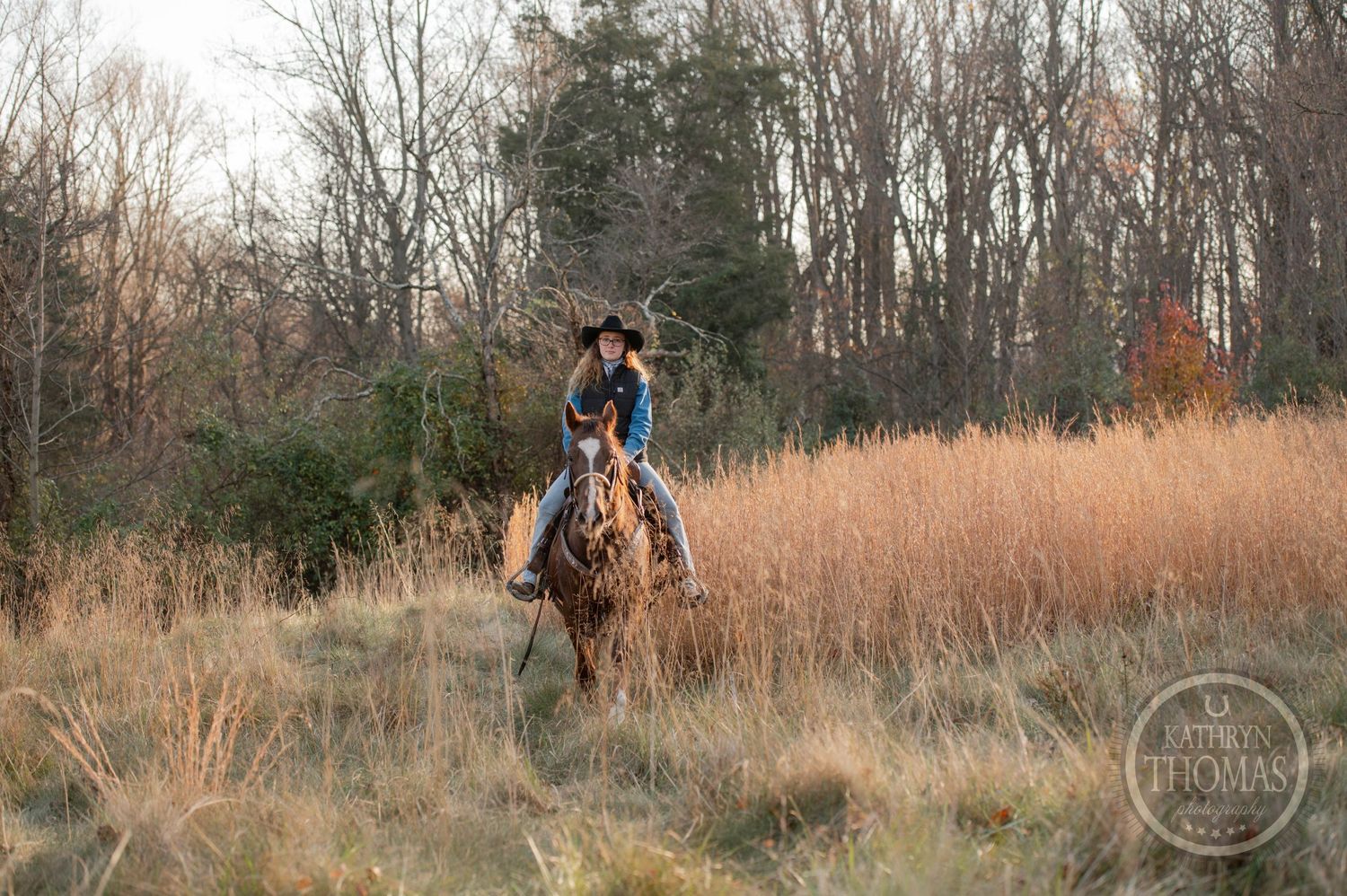 Horse and rider journey through misty field during golden hour.