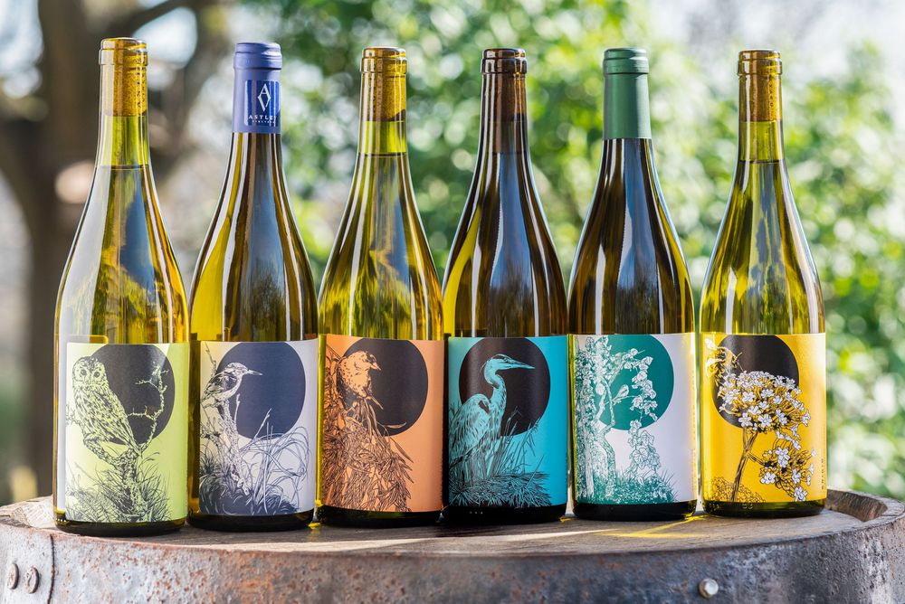 Astley Vineyard wine bottles line up with illustrated labels, outdoor lifestyle food and drink photography in natural light Worcestershire
