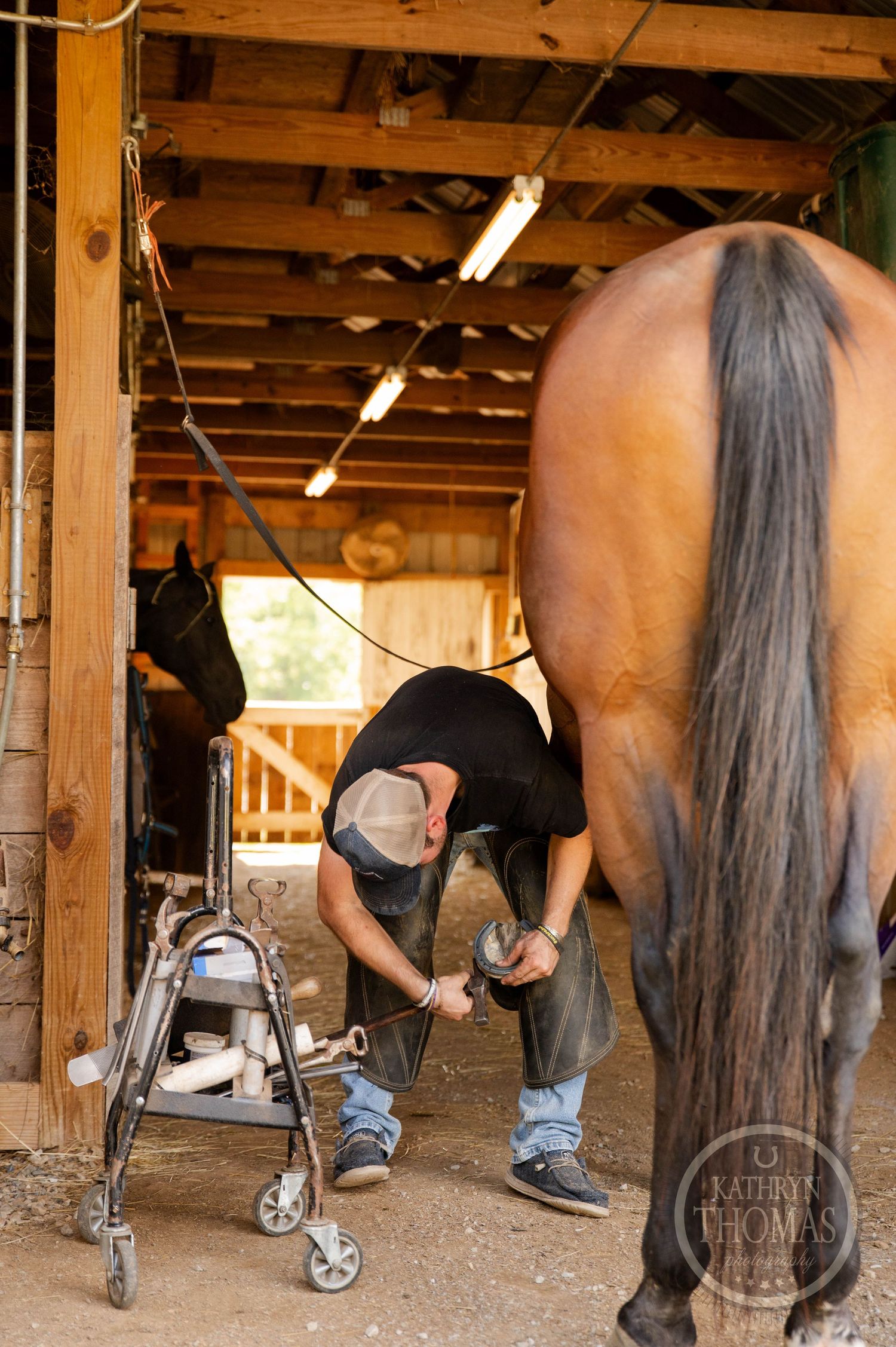 Farrier tends to a horse's hooves next to a walker cart in a wooden barn.