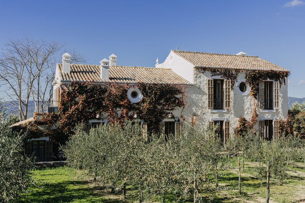 Abandoned rustic stone villa with olive trees in foreground stands weathered against blue sky in Mediterranean setting.
