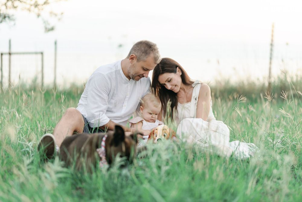 Family sitting together in tall grass with dog during sunset.