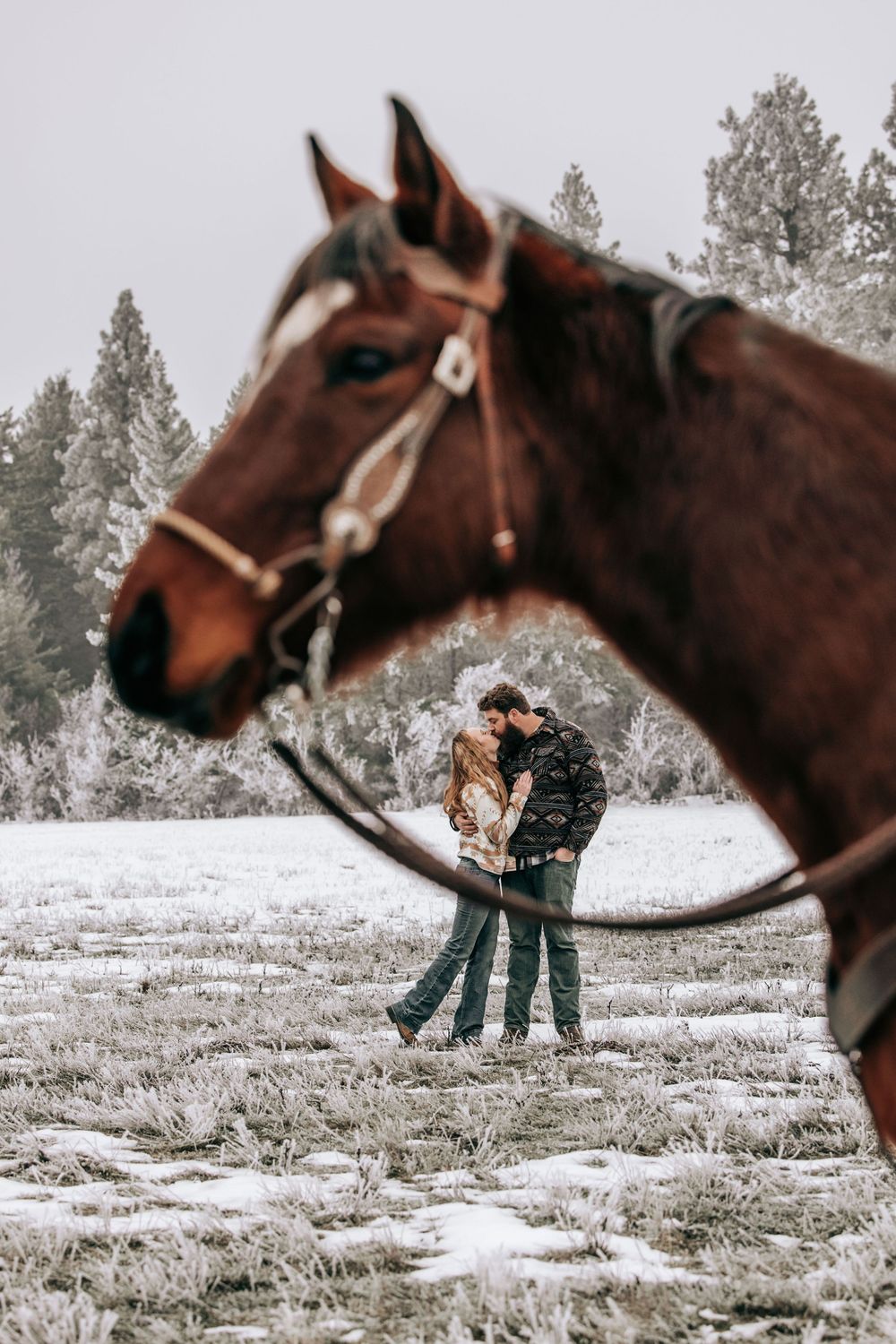 Cle Elum, WA Engagement session couple kissing with horse in front of them