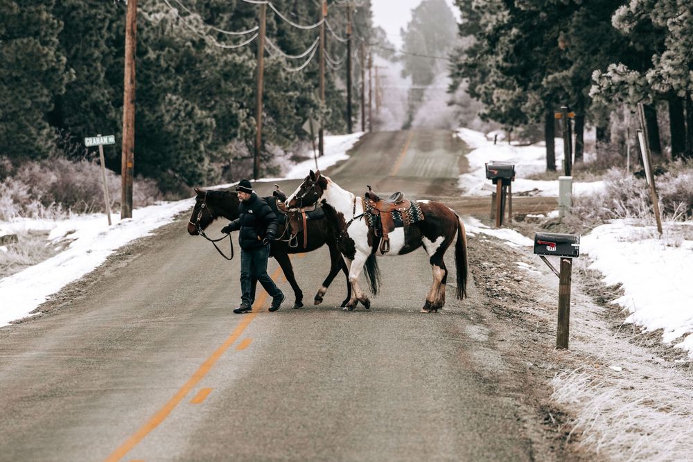 man walking with horses across a street.