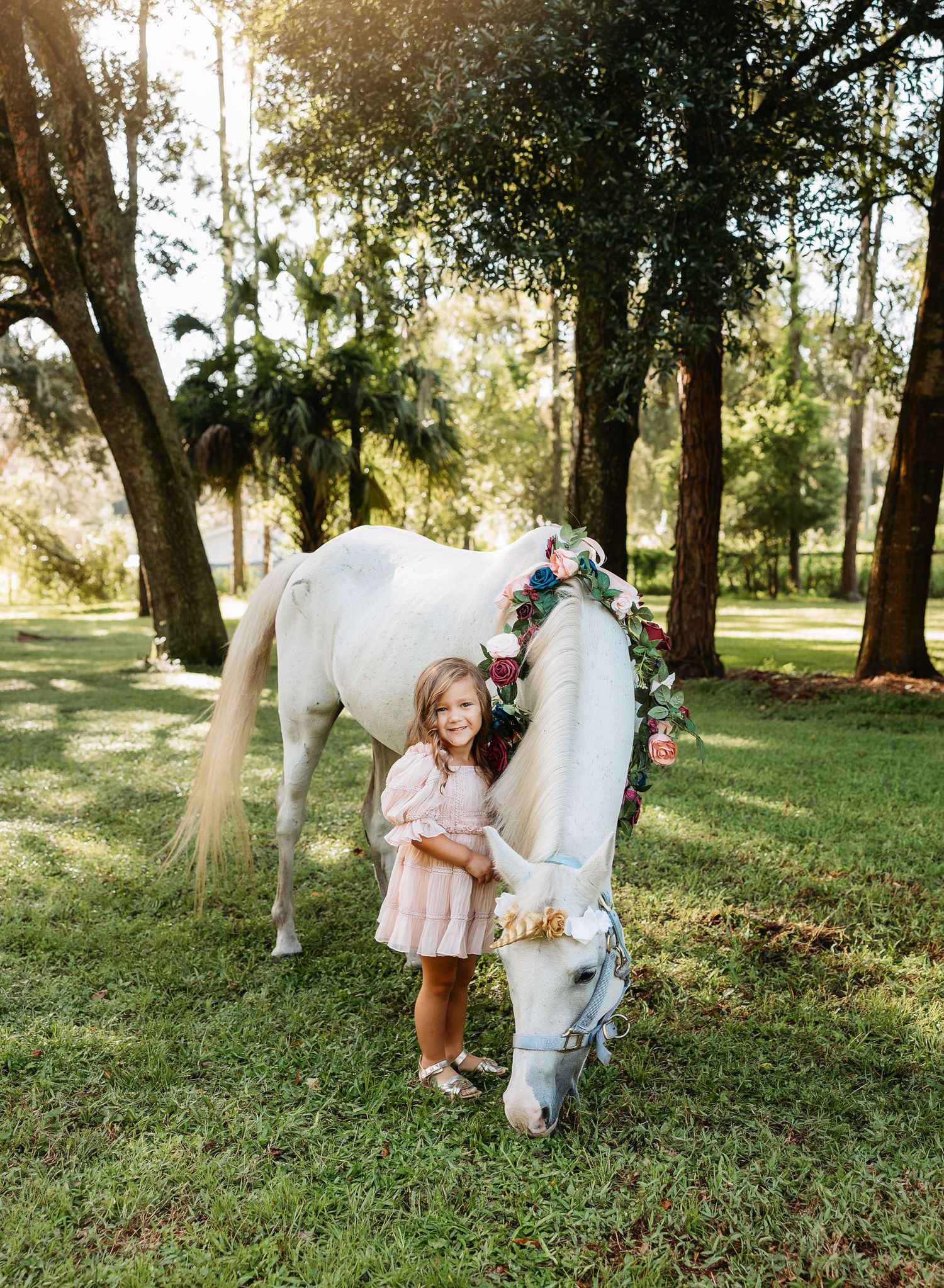 White horse grazing in a sunlit wooded area with dappled afternoon light filtering through trees.