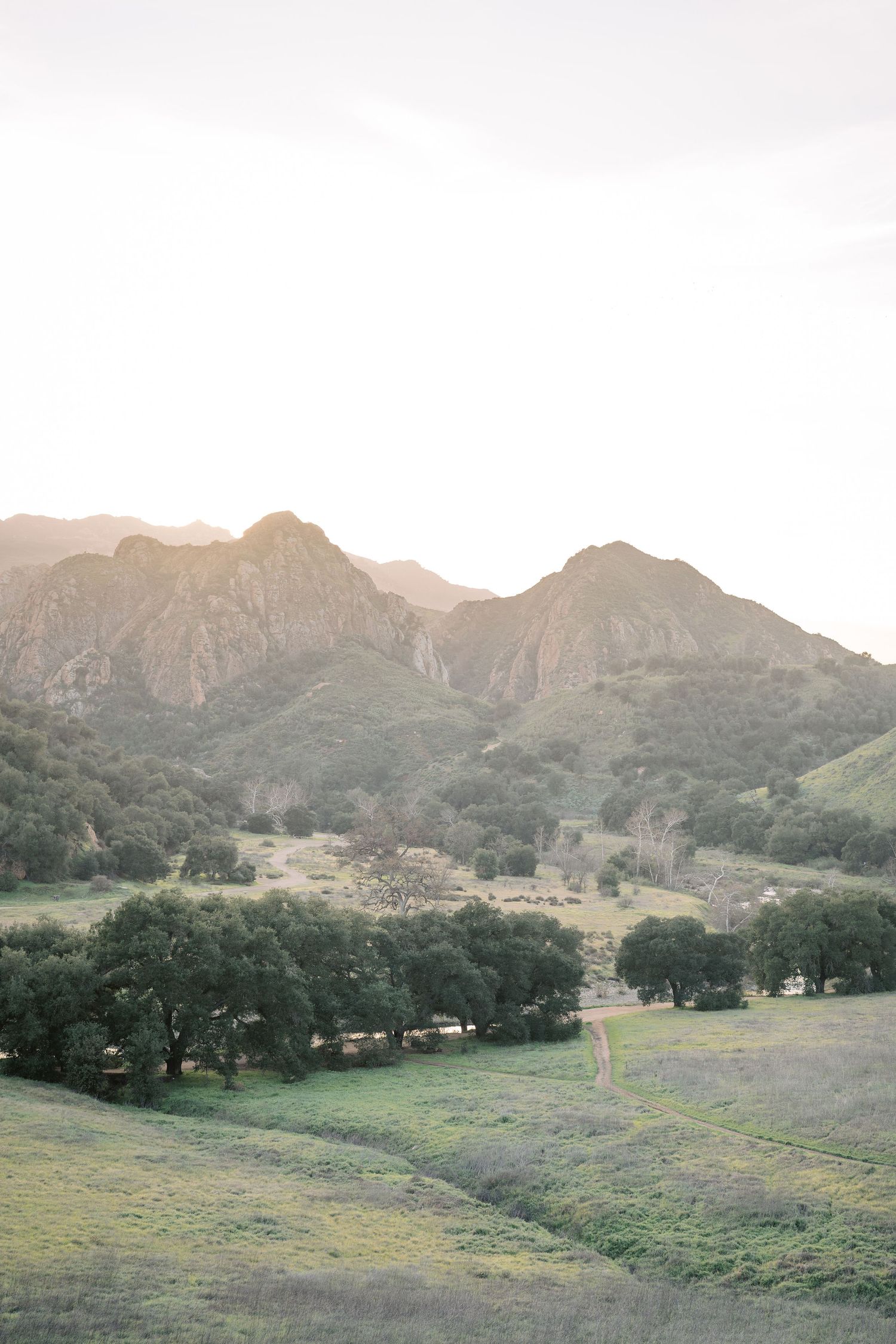 Panoramic view of a green valley with mountains in the background and scattered houses nestled among trees at sunset.