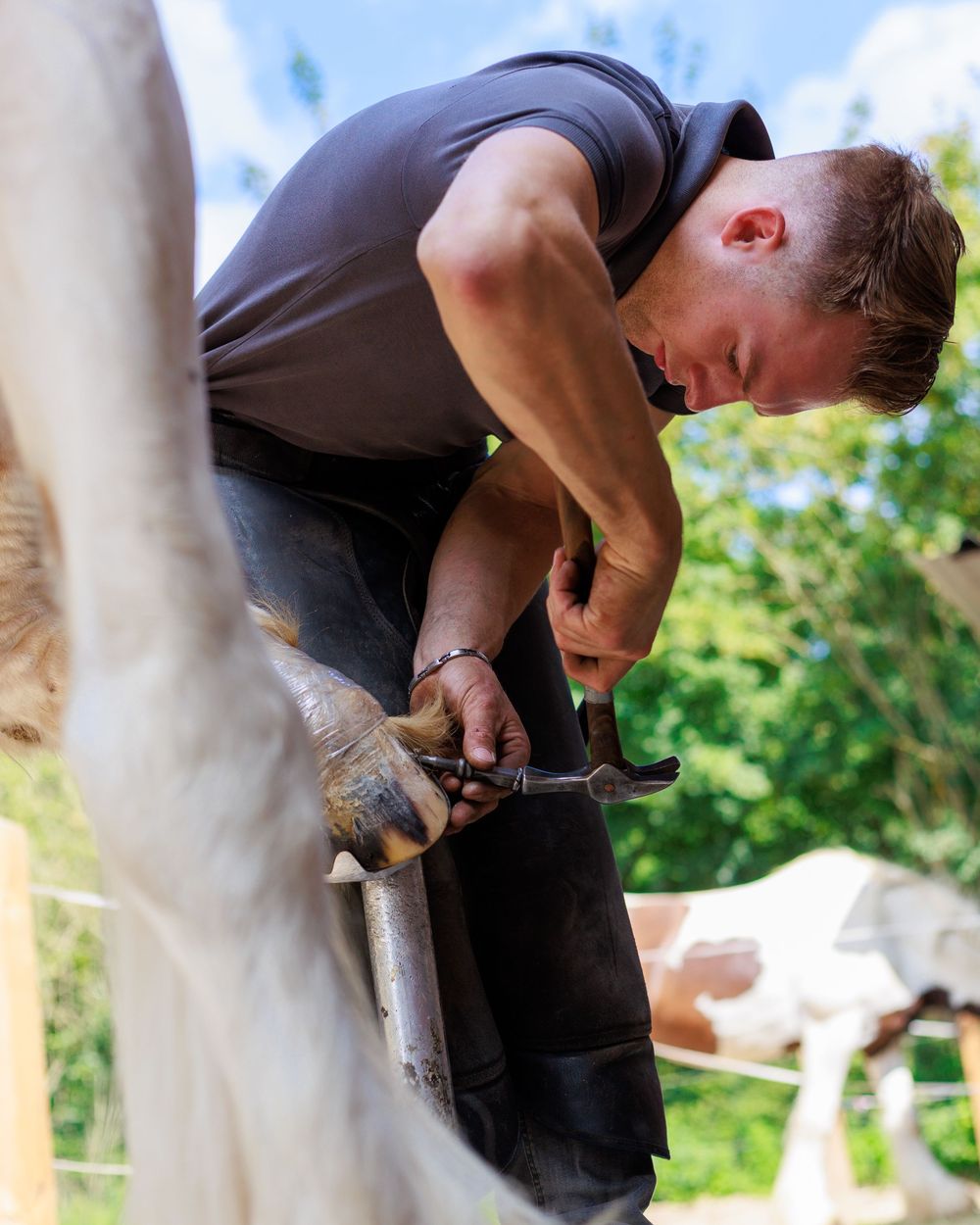 A sequence of photos shows someone hammering and working on a wooden post outdoors against a green background.