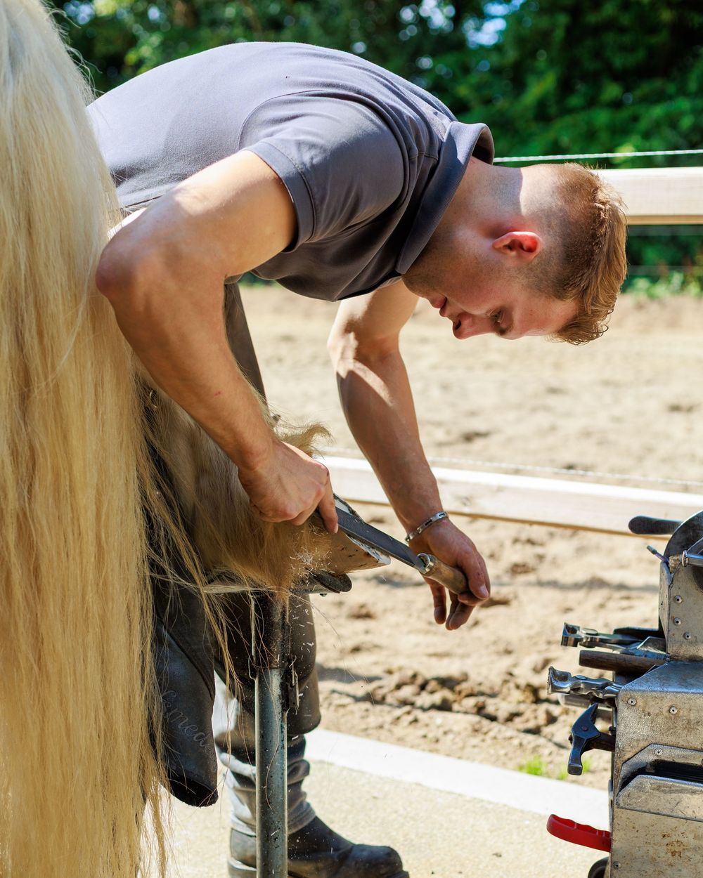 A farrier works on trimming and fitting a horseshoe on a horse's hoof outdoors.