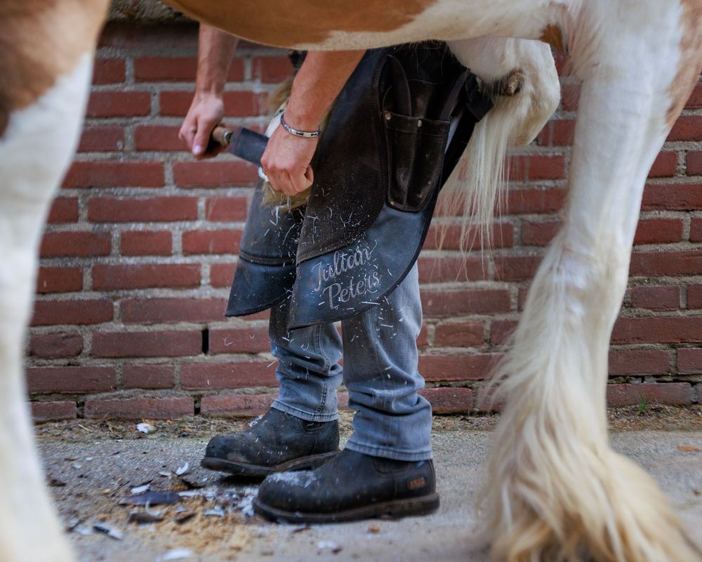 Farrier working on a horse's hooves while wearing jeans and work boots against a brick wall background.