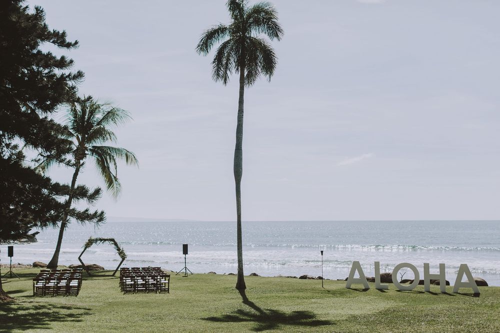 Palm trees line a tropical beach with crashing waves and cloudy skies along the shoreline.