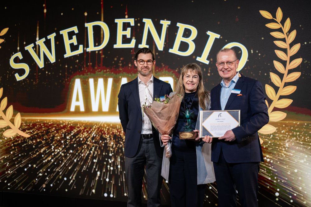 A series of awards ceremony photos showing people on stage with golden laurel decorations and sparkly lighting effects.
