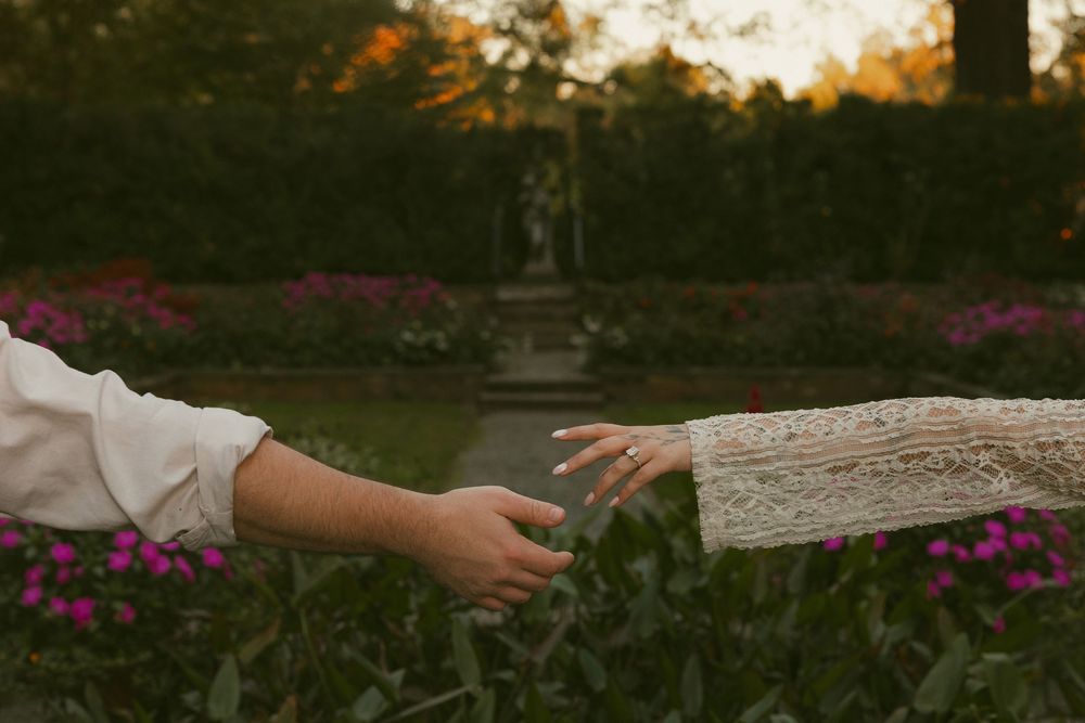 Hands reaching out against a sunset backdrop with pink flowers in the foreground.
