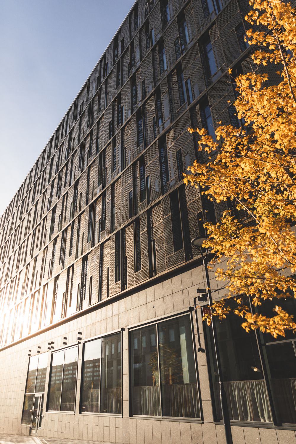 Modern office building exterior with sunlit glass facade and golden autumn tree leaves against blue sky.