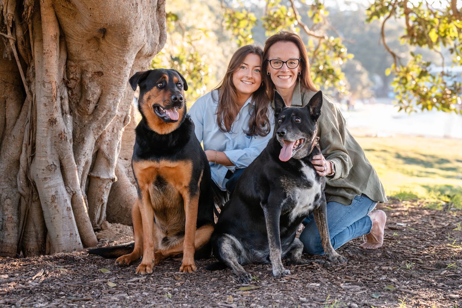 A series of outdoor family portraits with dogs under a large tree in warm sunlight. Rouse hill Mothers day photoshoot in sydney