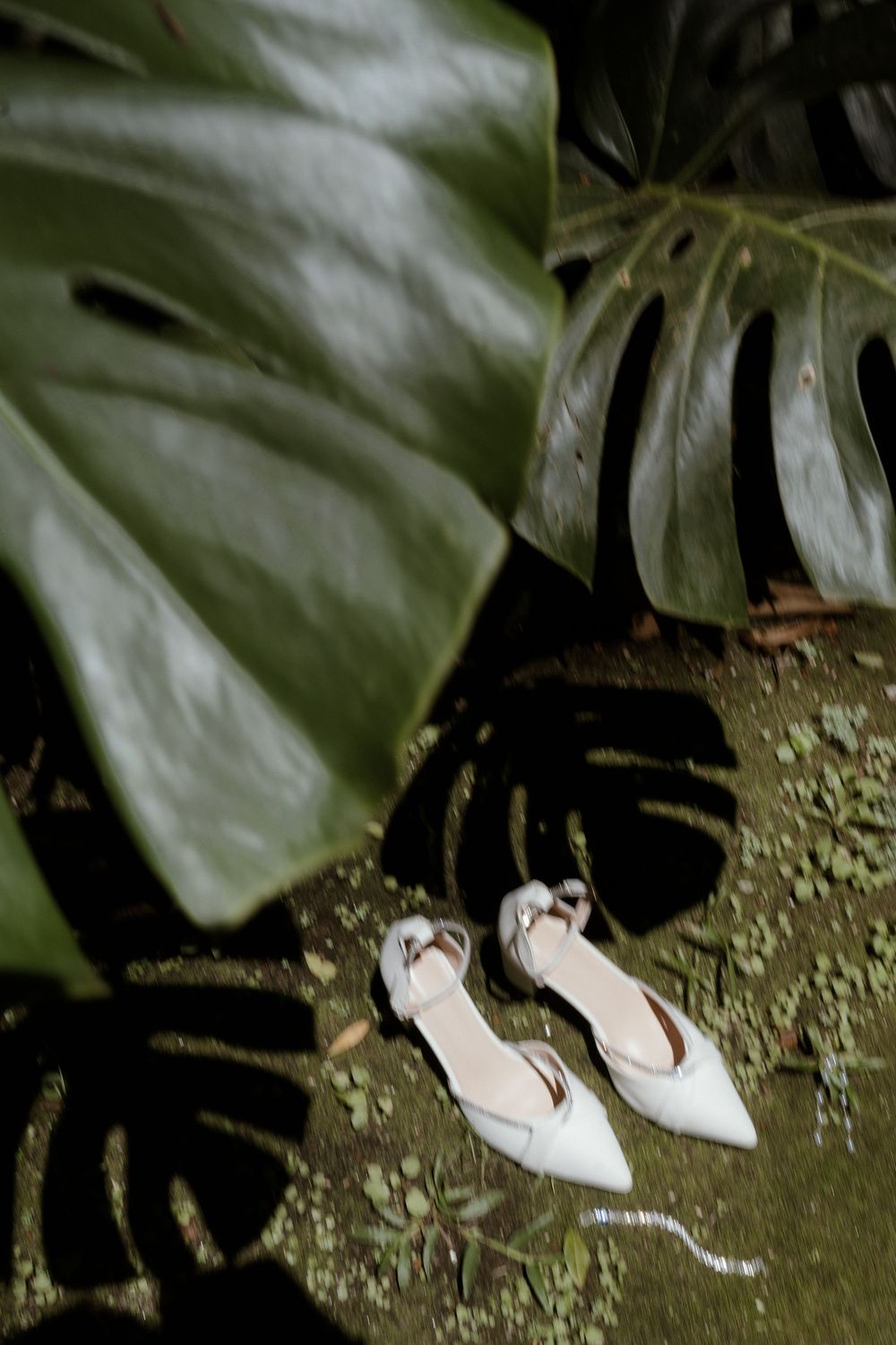 White ballet flats shown in a sequence of motion against a dark ground with green foliage visible above.