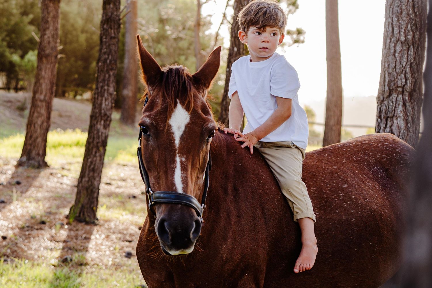 Family portrait session photographed outdoors in the Garden Route