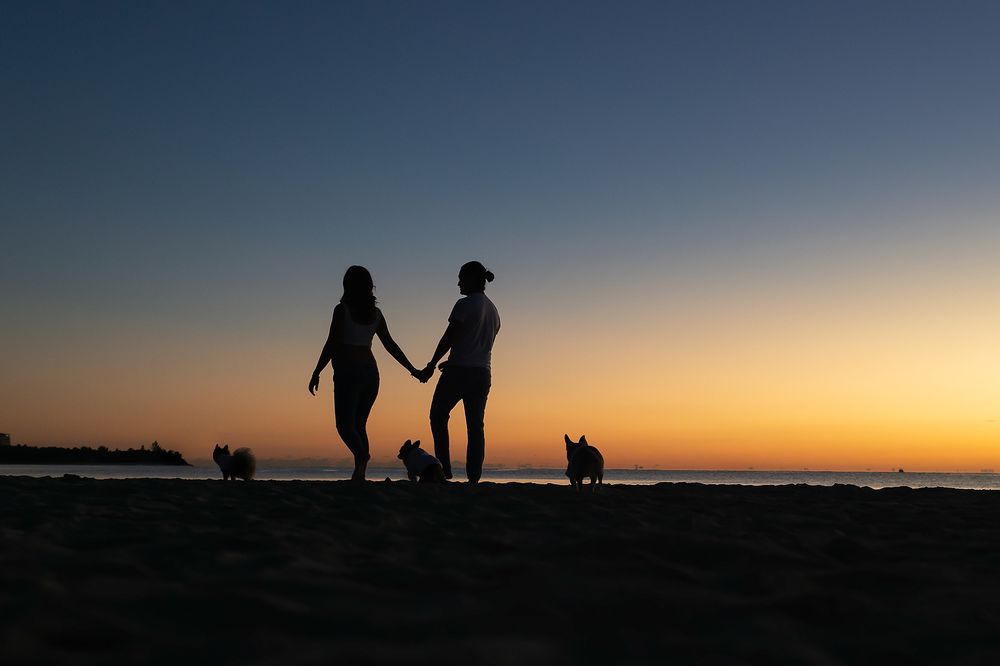 Silhouetted couple holding hands with their dog on a beach at sunset against a vibrant orange and blue sky.