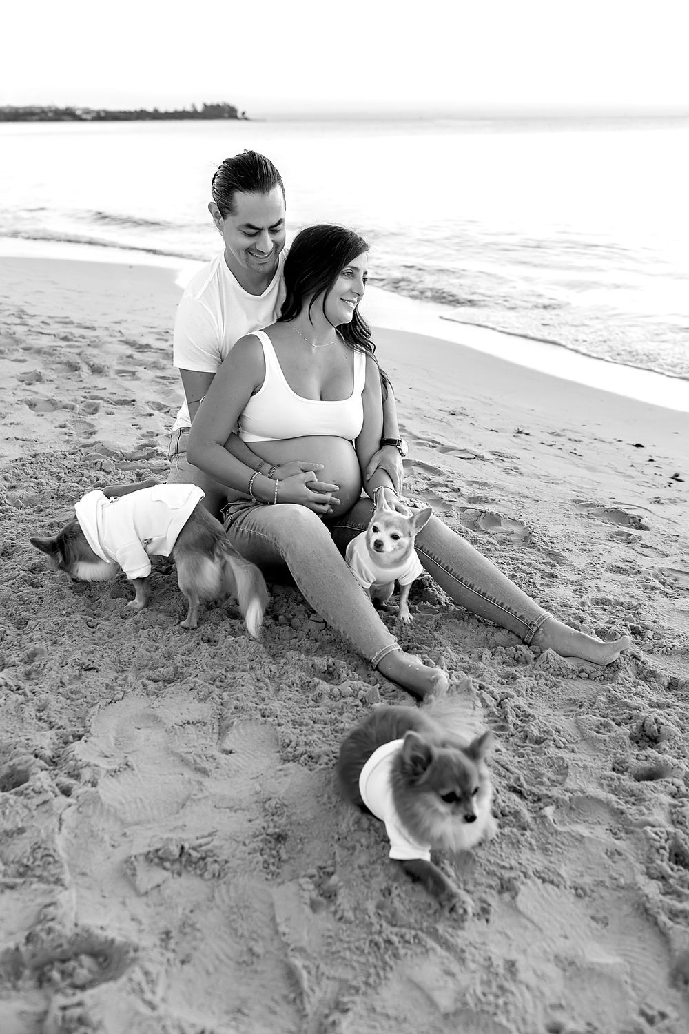 A series of black and white photos showing someone sitting on a beach with dogs and cats enjoying the sand.