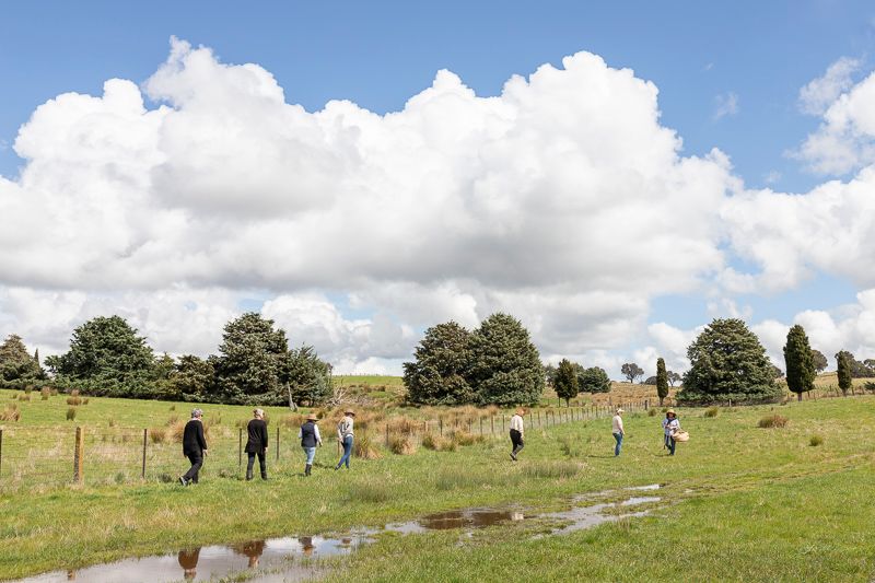 Event photography showing a group walking through green pasture farmland with large conifers and dramatic clouds.