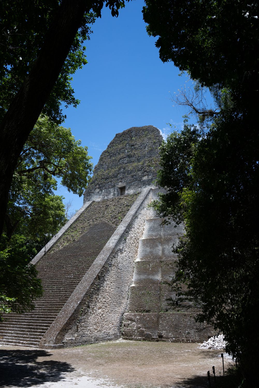 Ancient Mayan pyramid ruins in Tikal National Park shown from different angles with stone steps and dense jungle foliage.