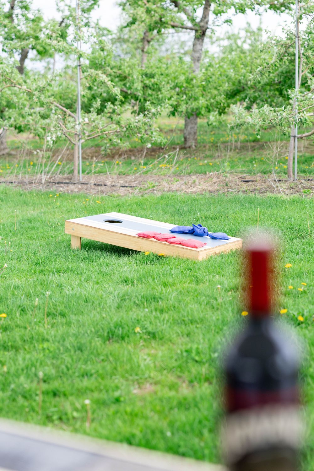 A cornhole board sits on green grass with trees in the background while a bottle appears in the foreground.