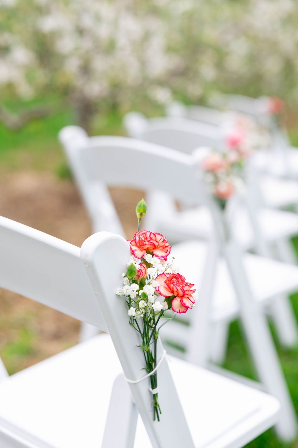 Pink carnation flowers in glass vases decorating white ceremony chairs arranged outdoors.