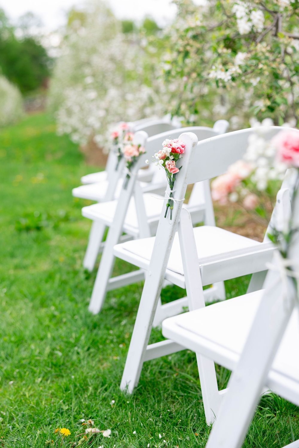 White folding chairs decorated with small pink floral bouquets line up on grass for an outdoor garden wedding ceremony.