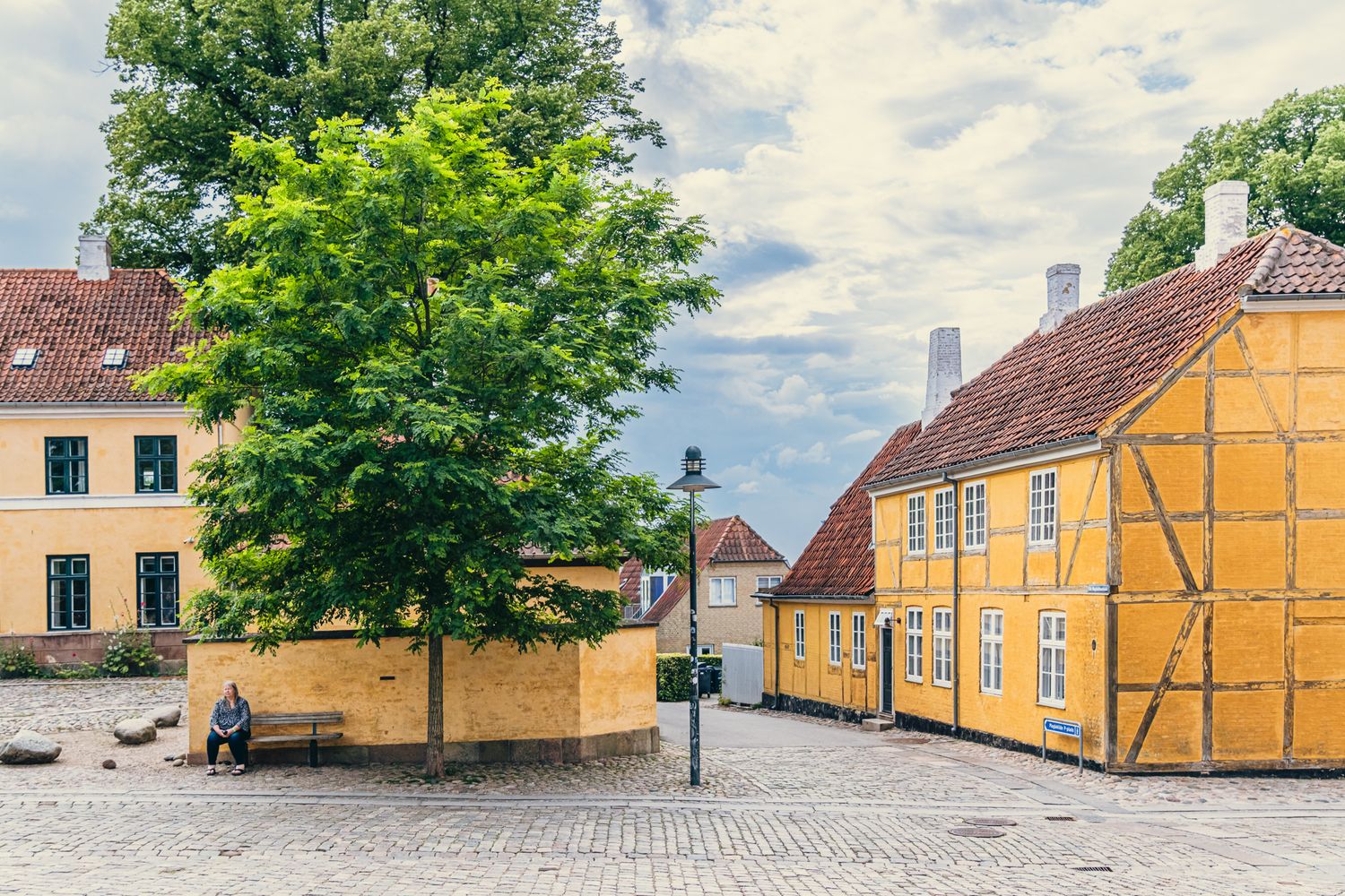 Gele vakwerkhuizen in de Deense stad Roskilde. Een prachtig groene boom iets links van het midden.