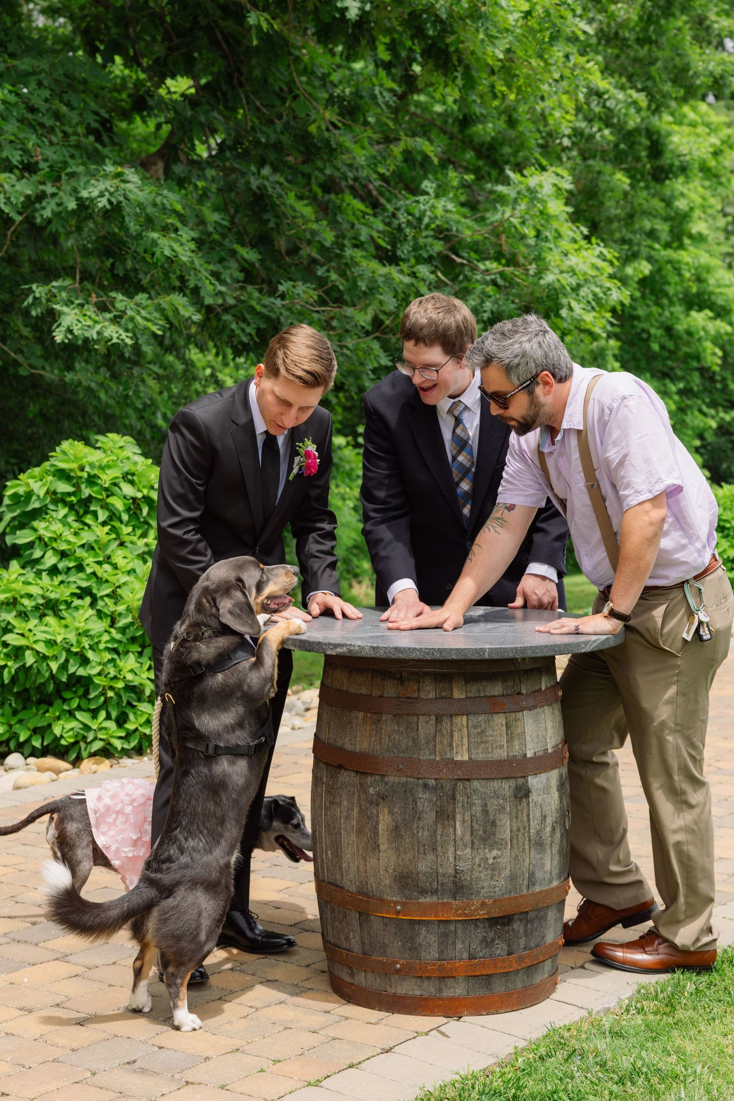 A sequence of photos showing people and a black dog looking into a wooden barrel on a brick patio.