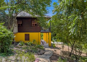 Charming yellow and brown wooden cottage nestled among tropical trees and lush greenery.