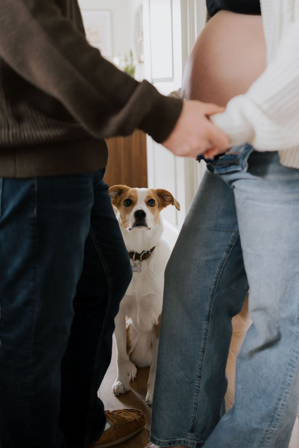 Pregnant couple holding hands with curious beagle dog looking up between them near front door.