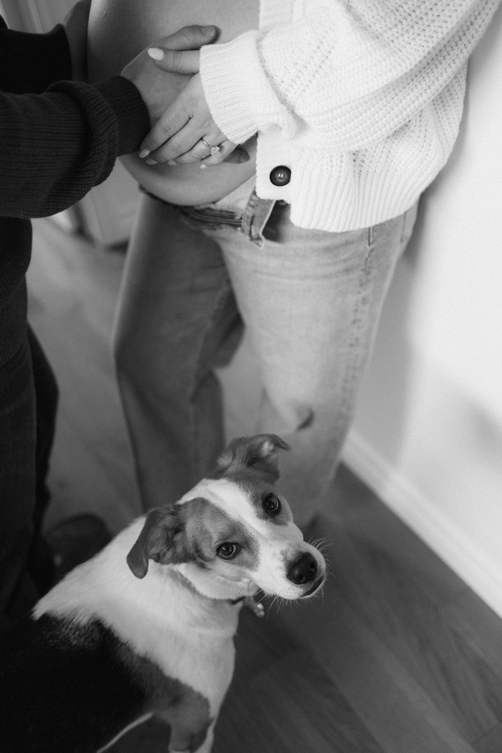A black and white photo of a small dog looking up at a couple touching a pregnant woman's belly.