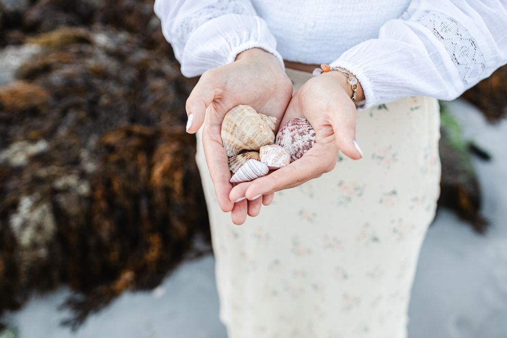 Senior girl holds seashells in her hand during her senior portraits at Wingaersheek Beach, Gloucester North Shore, North Shore senior photos