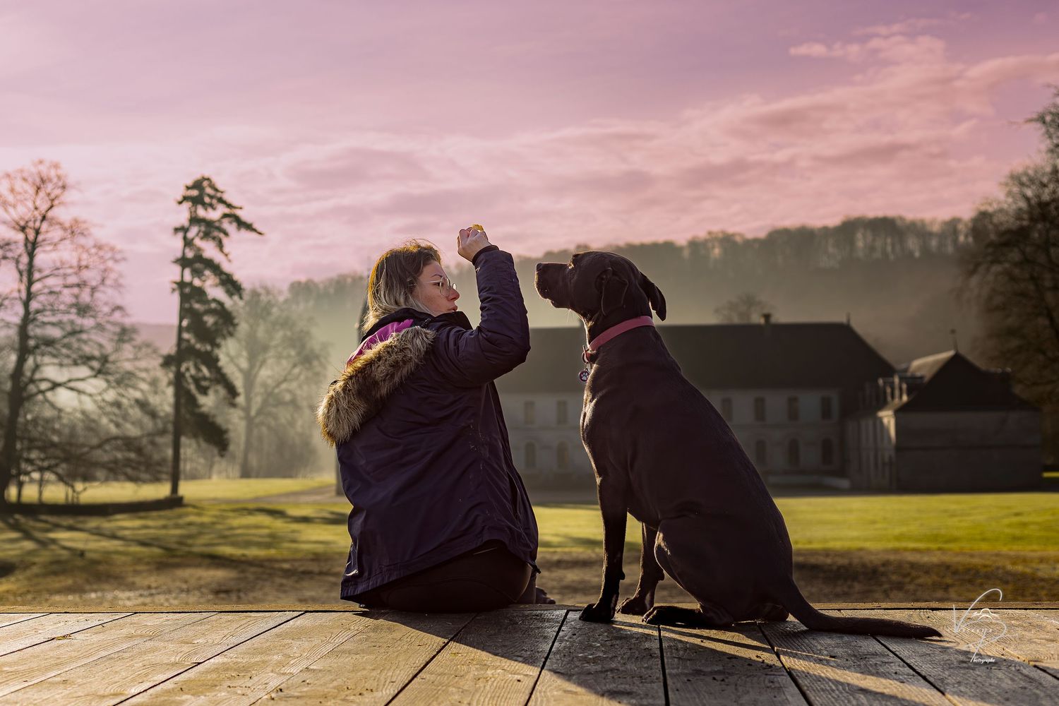 Woman training her chocolate Labrador dog outdoors on a wooden deck at sunset with misty trees in background.