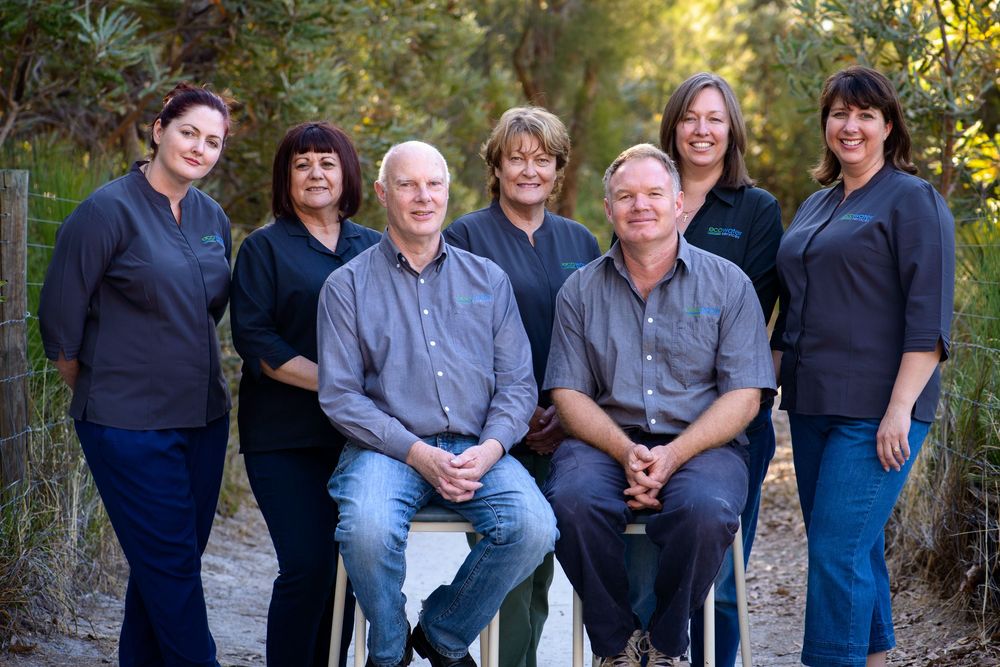 Business branding group portrait