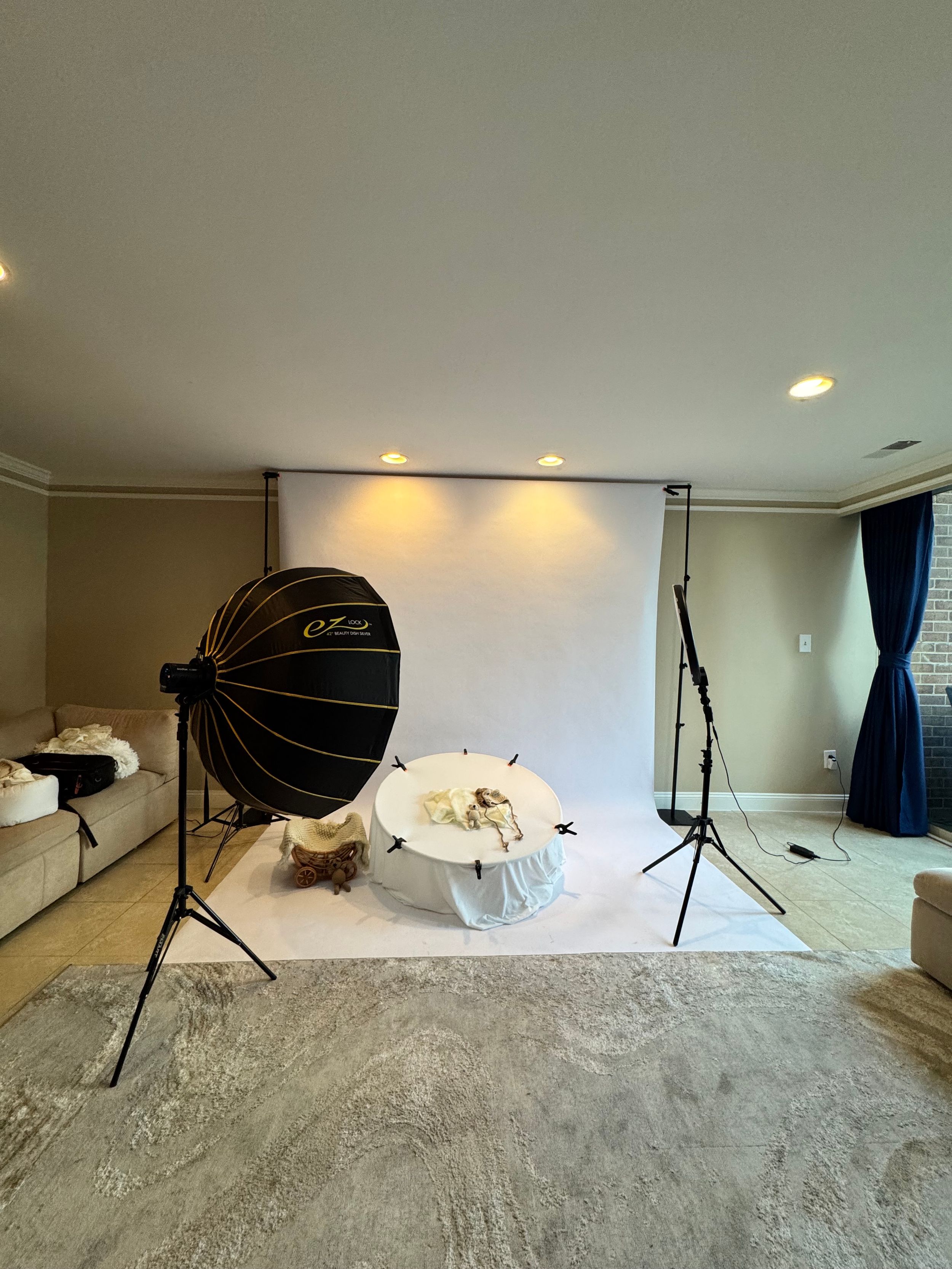 Professional photography studio setup with large octagon softbox, backdrop stand, and lighting equipment in a home living room.