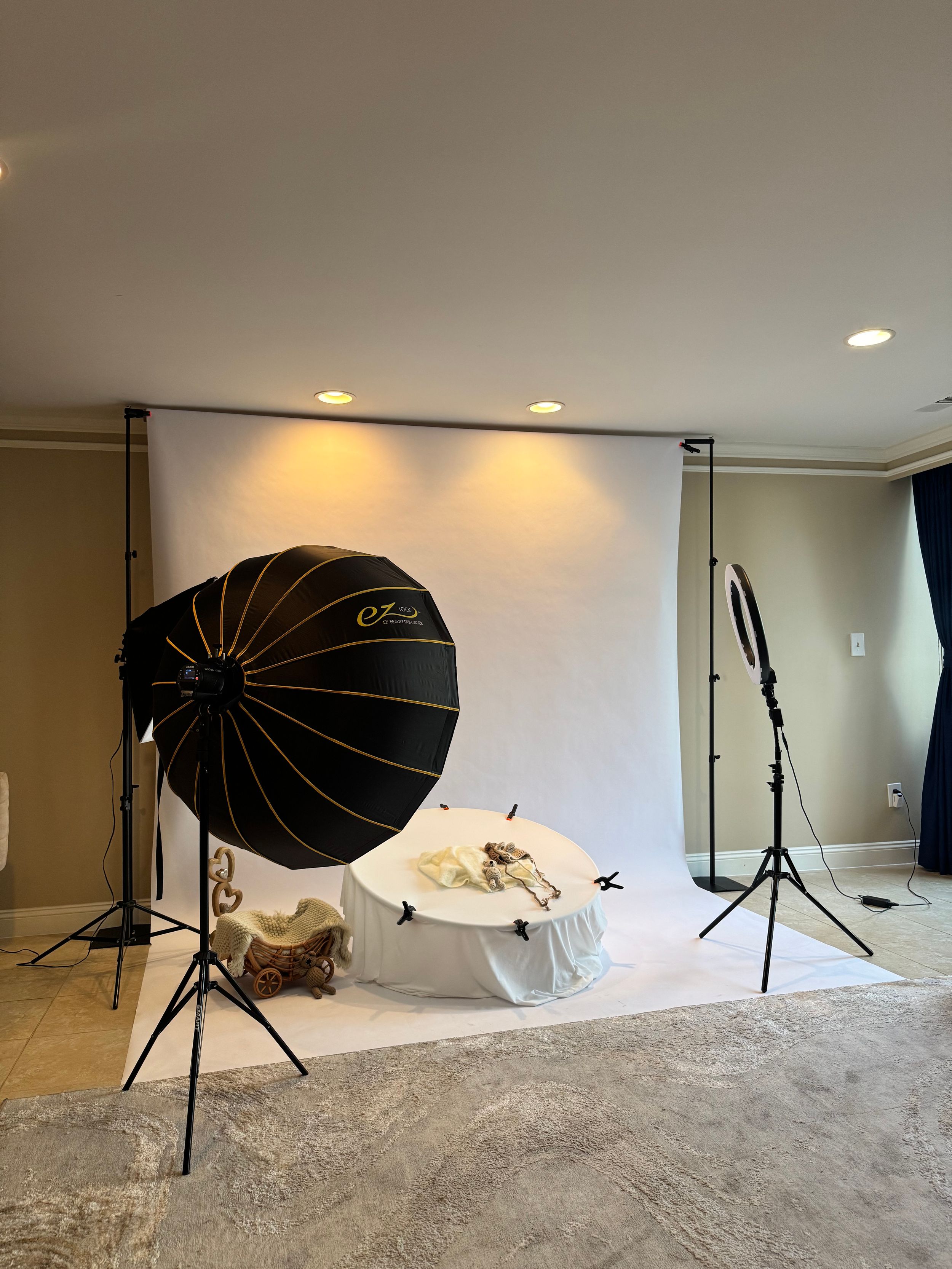 Professional photography studio setup with large parabolic softbox, backdrop, and lighting equipment on stands.