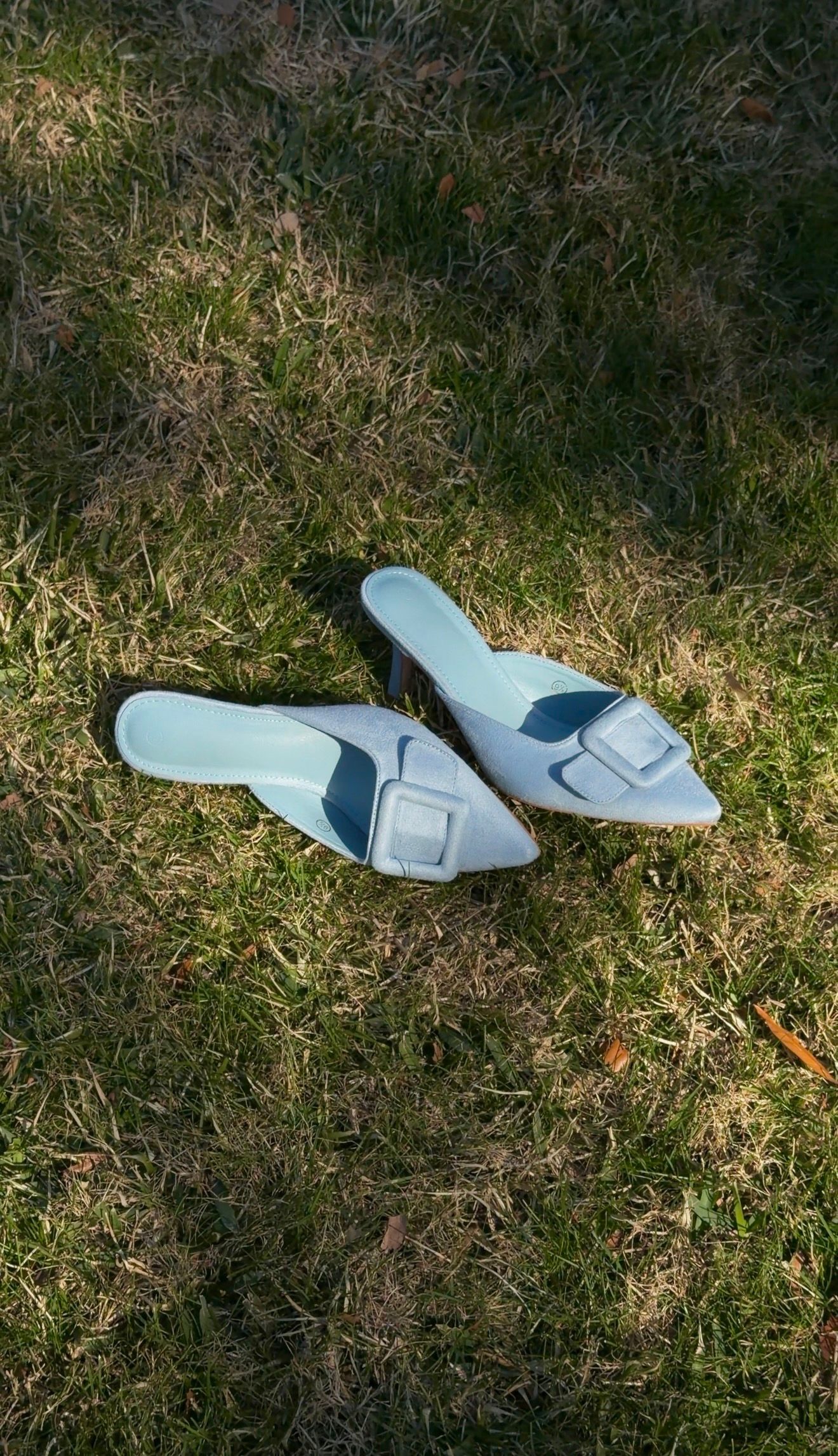 Light blue pointed-toe mule flats with square buckle detail, placed on green grass in natural sunlight.