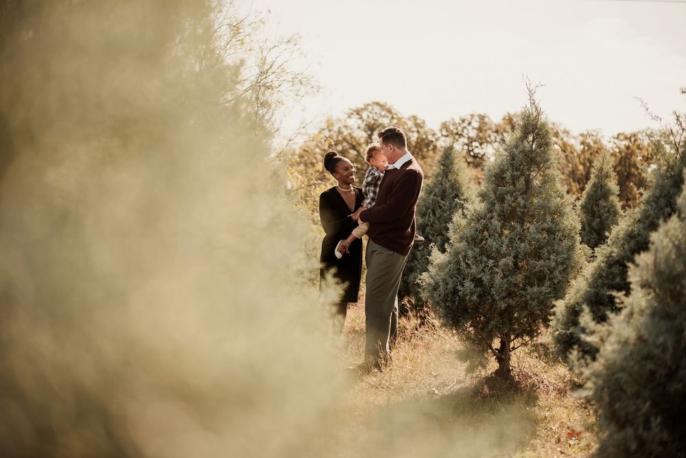 Couple embracing among lush Christmas trees at a tree farm during golden hour in a romantic outdoor setting.