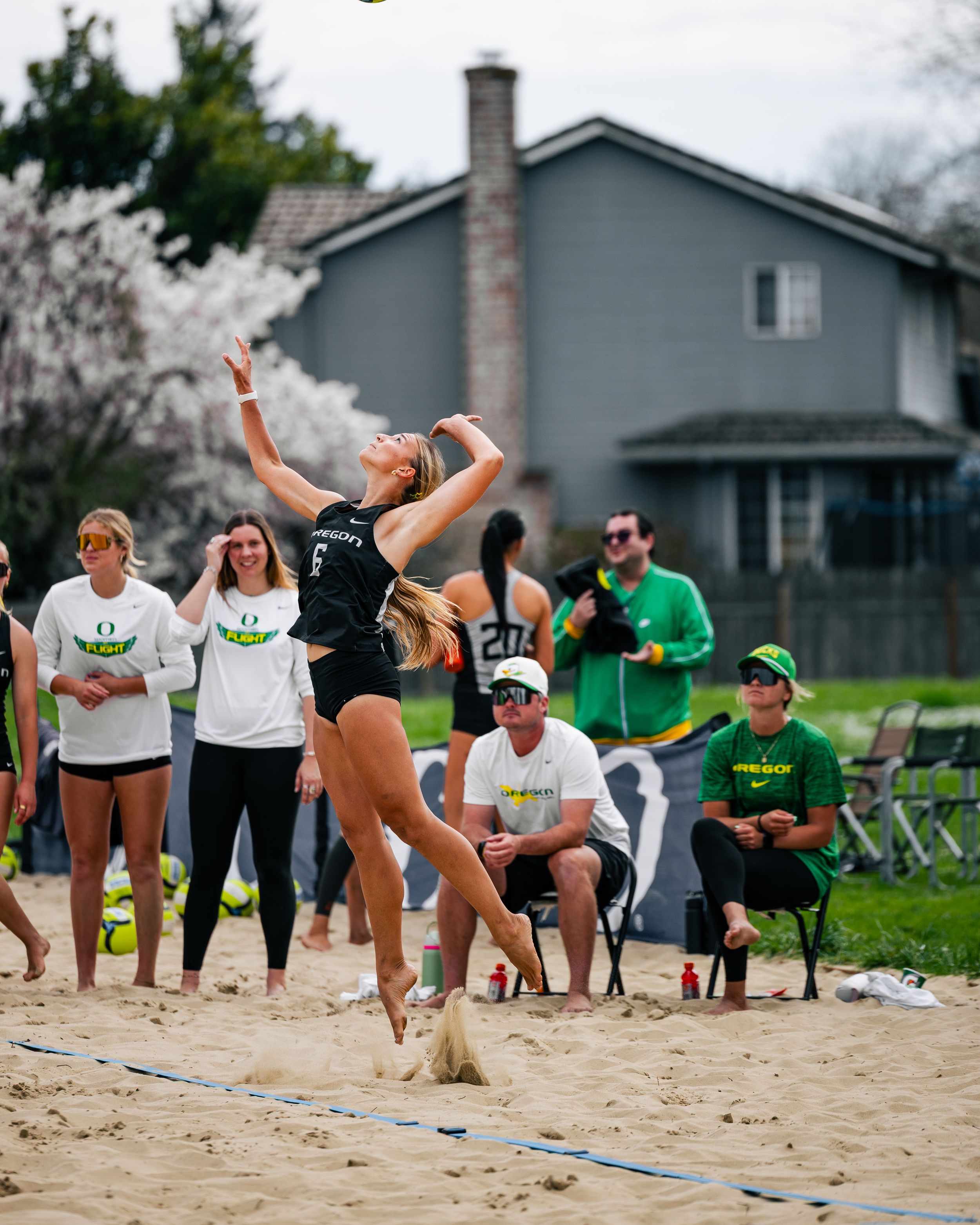 Oregon Ducks beach volleyball player jumps to spike ball during outdoor sand court match with teammates and coaches watching.