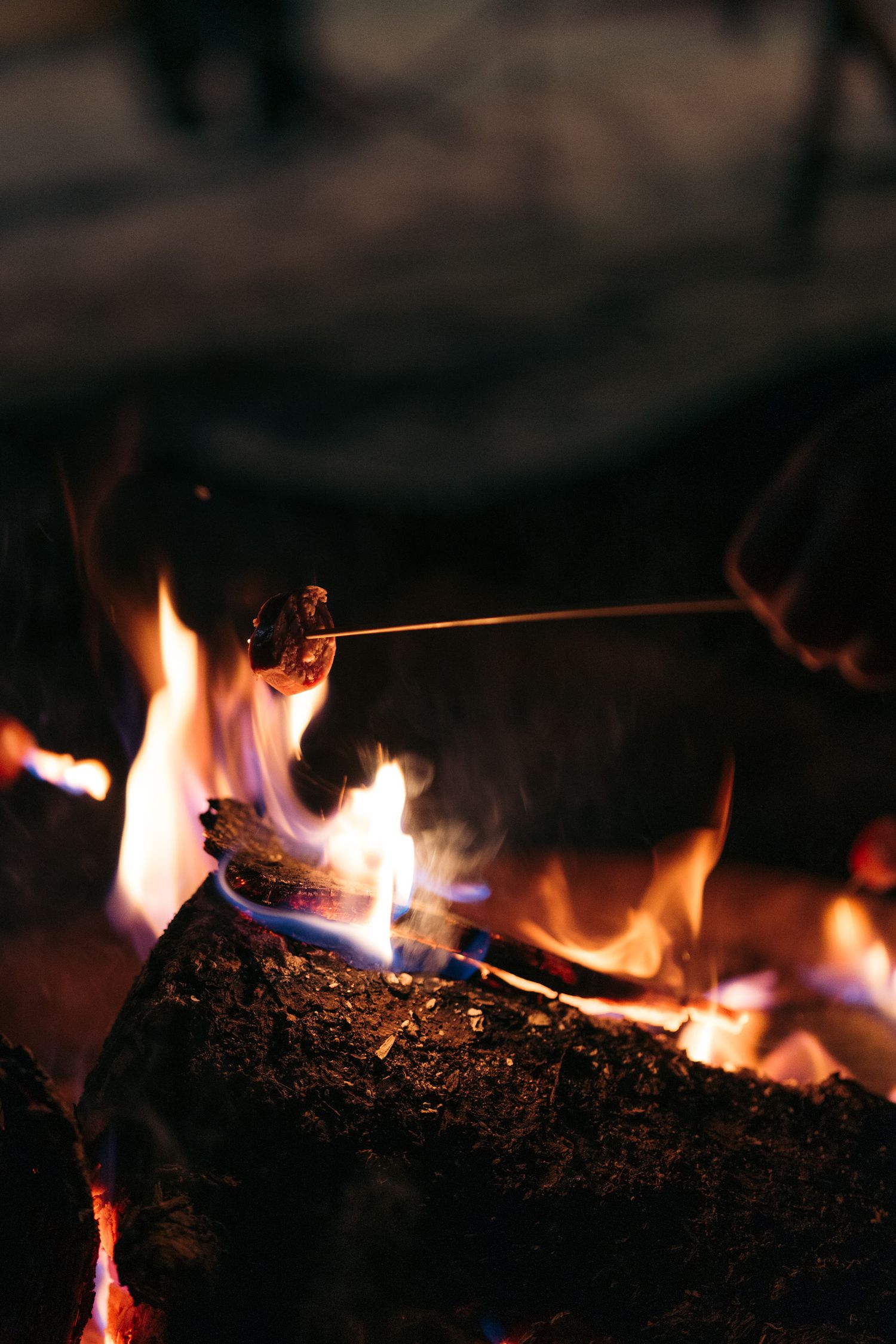 Photo d'un diot grillé au feu de bois